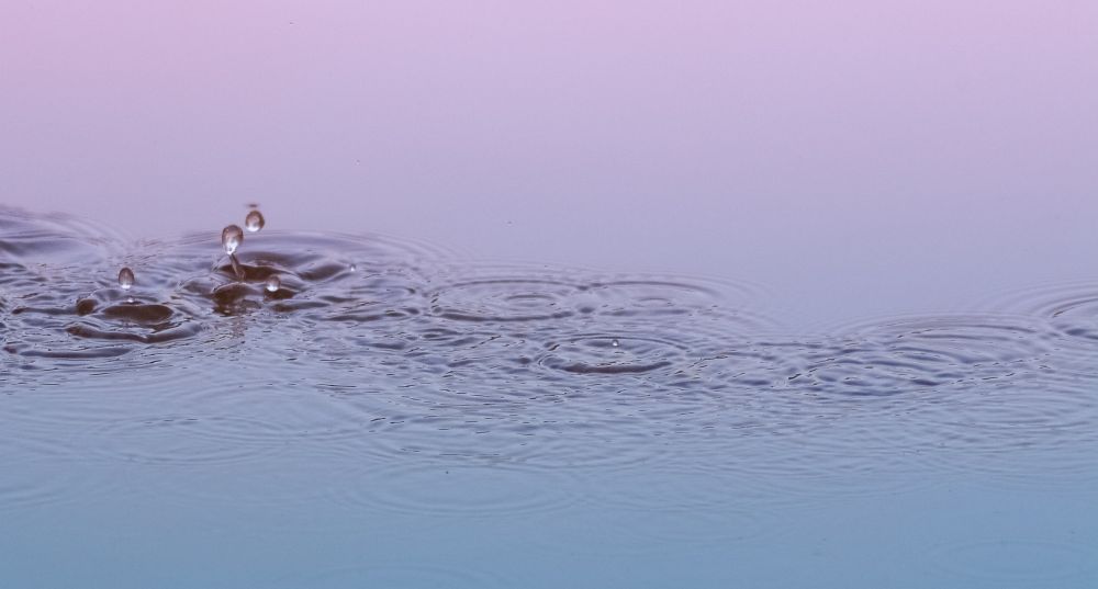 Water-Based vs Plant-oil Based Lubricants